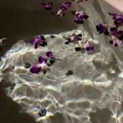 ヒメ日記 2025/10/11 18:59 投稿 さくら 川越発！凄いよビンビンパラダイス