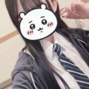 ヒメ日記 2025/04/12 08:41 投稿 かりん ちらりずむ 札幌校