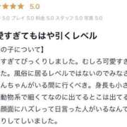 ヒメ日記 2025/06/29 21:01 投稿 かりん ちらりずむ 札幌校