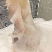 ヒメ日記 2025/05/02 21:19 投稿 新人らな DRAMA（ドラマ）