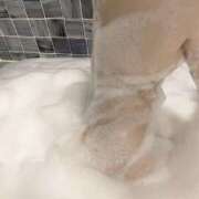 ヒメ日記 2025/12/17 17:33 投稿 新人らな DRAMA（ドラマ）