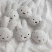 ヒメ日記 2025/04/12 15:31 投稿 星川りの ABC 岩手ソープ