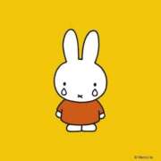 ヒメ日記 2025/04/28 17:16 投稿 星川りの ABC 岩手ソープ