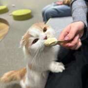 ヒメ日記 2025/05/15 23:01 投稿 星川りの ABC 岩手ソープ