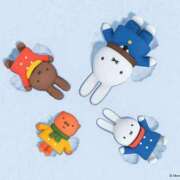 ヒメ日記 2026/01/12 20:01 投稿 星川りの ABC 岩手ソープ