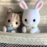 ヒメ日記 2026/02/20 00:16 投稿 星川りの ABC 岩手ソープ