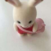 ヒメ日記 2026/02/27 00:31 投稿 星川りの ABC 岩手ソープ