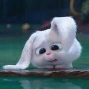 ヒメ日記 2026/06/19 17:01 投稿 星川りの ABC 岩手ソープ