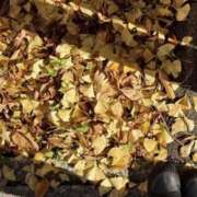 ヒメ日記 2025/12/02 15:16 投稿 むつき 逢って30秒で即尺