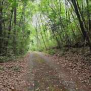 ヒメ日記 2026/01/21 15:16 投稿 むつき 逢って30秒で即尺