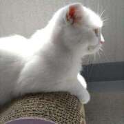 ヒメ日記 2025/05/05 11:38 投稿 陽帆(あきほ) PLUS十三店