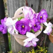 ヒメ日記 2025/05/10 23:48 投稿 陽帆(あきほ) PLUS十三店