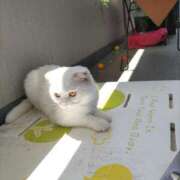 ヒメ日記 2025/05/14 14:28 投稿 陽帆(あきほ) PLUS十三店