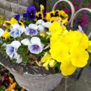 ヒメ日記 2025/05/18 21:38 投稿 陽帆(あきほ) PLUS十三店