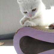 ヒメ日記 2025/05/21 04:08 投稿 陽帆(あきほ) PLUS十三店