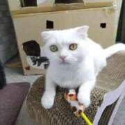 ヒメ日記 2025/05/21 13:08 投稿 陽帆(あきほ) PLUS十三店