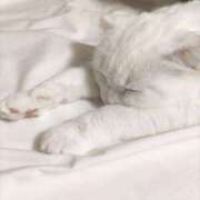 ヒメ日記 2025/06/04 12:22 投稿 陽帆(あきほ) PLUS十三店