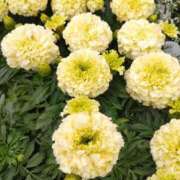 ヒメ日記 2025/06/04 22:11 投稿 陽帆(あきほ) PLUS十三店