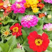 ヒメ日記 2025/06/05 13:48 投稿 陽帆(あきほ) PLUS十三店