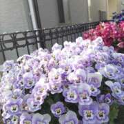 ヒメ日記 2025/06/06 23:48 投稿 陽帆(あきほ) PLUS十三店