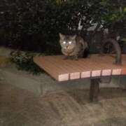 ヒメ日記 2025/06/08 15:48 投稿 陽帆(あきほ) PLUS十三店