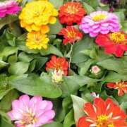 ヒメ日記 2025/06/08 23:48 投稿 陽帆(あきほ) PLUS十三店