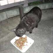 ヒメ日記 2025/06/15 11:58 投稿 陽帆(あきほ) PLUS十三店