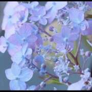 ヒメ日記 2025/06/16 23:18 投稿 陽帆(あきほ) PLUS十三店