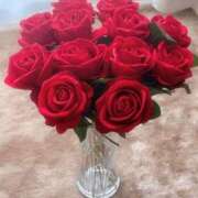 ヒメ日記 2025/06/26 11:58 投稿 陽帆(あきほ) PLUS十三店