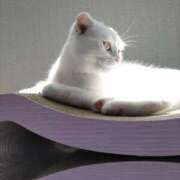 ヒメ日記 2025/06/27 15:18 投稿 陽帆(あきほ) PLUS十三店