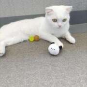 ヒメ日記 2025/06/29 12:28 投稿 陽帆(あきほ) PLUS十三店