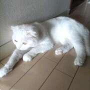 ヒメ日記 2025/07/07 01:38 投稿 陽帆(あきほ) PLUS十三店