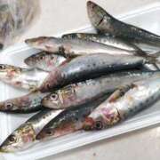 ヒメ日記 2025/07/14 17:58 投稿 陽帆(あきほ) PLUS十三店