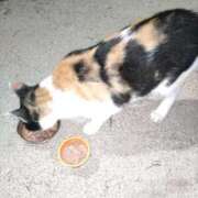 ヒメ日記 2025/07/15 13:11 投稿 陽帆(あきほ) PLUS十三店