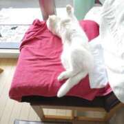 ヒメ日記 2025/07/16 12:12 投稿 陽帆(あきほ) PLUS十三店