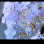 ヒメ日記 2025/07/17 23:46 投稿 陽帆(あきほ) PLUS十三店