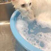 ヒメ日記 2025/08/29 18:18 投稿 陽帆(あきほ) PLUS十三店