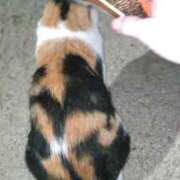 ヒメ日記 2025/11/03 00:08 投稿 陽帆(あきほ) PLUS十三店