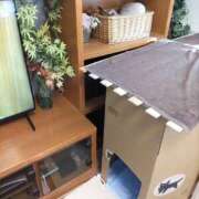 ヒメ日記 2026/01/30 23:02 投稿 陽帆(あきほ) PLUS十三店