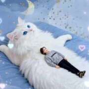 ヒメ日記 2026/02/10 13:13 投稿 陽帆(あきほ) PLUS十三店