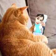 ヒメ日記 2026/02/12 21:48 投稿 陽帆(あきほ) PLUS十三店