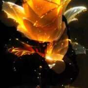 ヒメ日記 2026/02/15 19:28 投稿 陽帆(あきほ) PLUS十三店