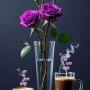 ヒメ日記 2026/02/20 12:28 投稿 陽帆(あきほ) PLUS十三店