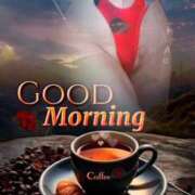 ヒメ日記 2026/02/24 10:48 投稿 陽帆(あきほ) PLUS十三店