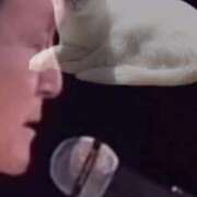 ヒメ日記 2026/04/06 15:38 投稿 陽帆(あきほ) PLUS十三店