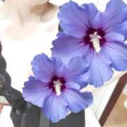 ヒメ日記 2026/04/20 12:18 投稿 陽帆(あきほ) PLUS十三店