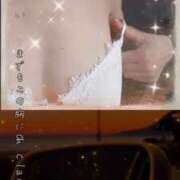 ヒメ日記 2026/05/14 01:58 投稿 陽帆(あきほ) PLUS十三店