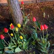 ヒメ日記 2025/05/16 23:48 投稿 柏木ちか お姉さんLABO -艶-