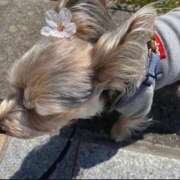 ヒメ日記 2025/07/09 20:38 投稿 柏木ちか お姉さんLABO -艶-