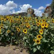 ヒメ日記 2025/08/17 18:03 投稿 柏木ちか お姉さんLABO -艶-